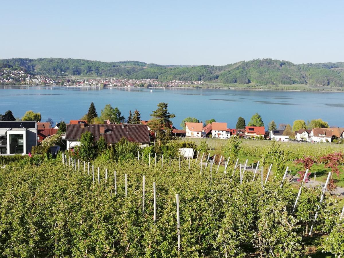 FeWo Segelwind Bodman-Ludwigshafen Buitenkant foto