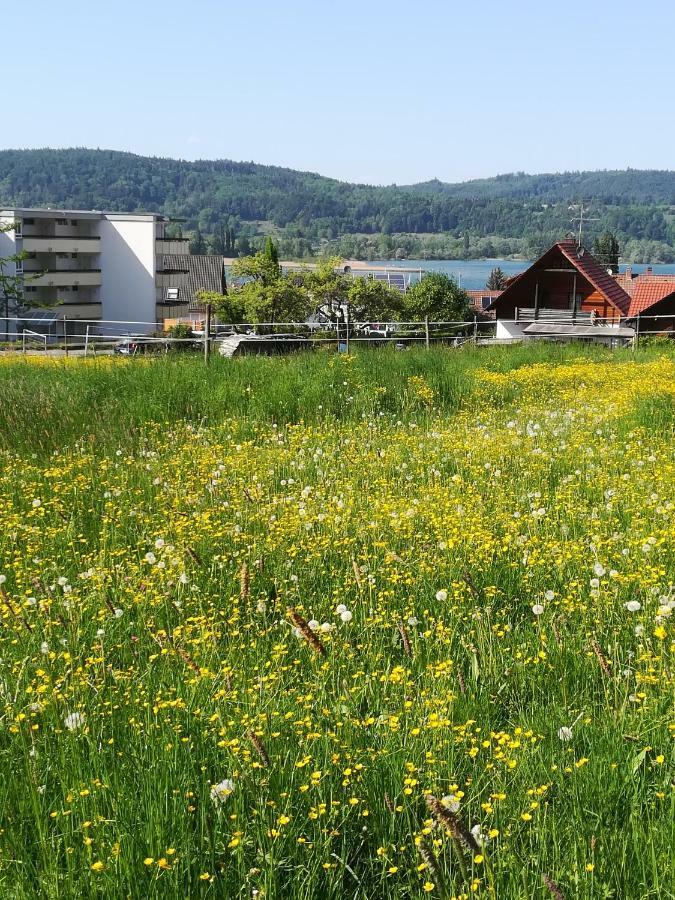 FeWo Segelwind Bodman-Ludwigshafen Buitenkant foto